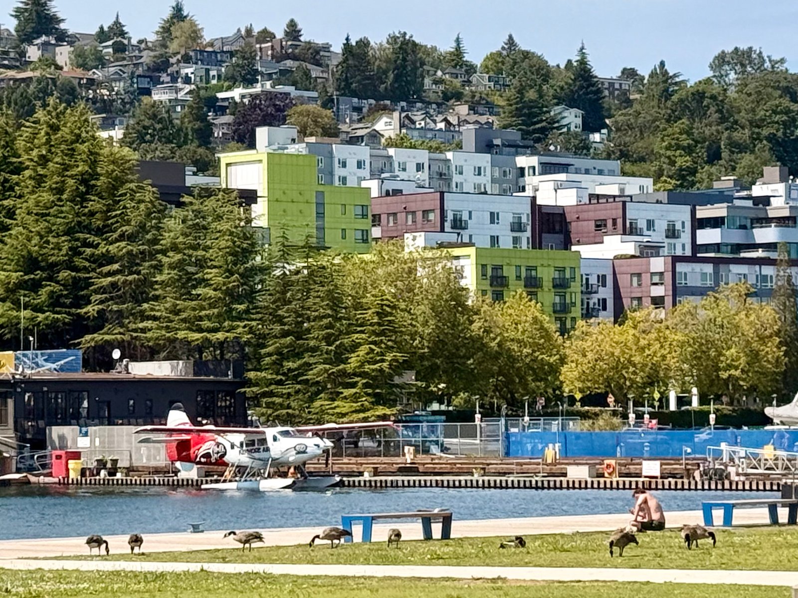 A seaplane docked on a lake, with geese and a person on grass in the foreground and colorful buildings on a hill behind.