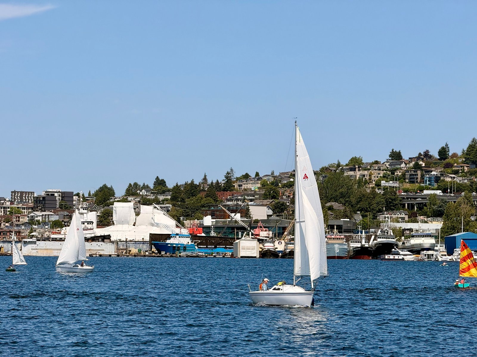 Multiple sailboats on blue water, with a city and shipyard on hills in the background.