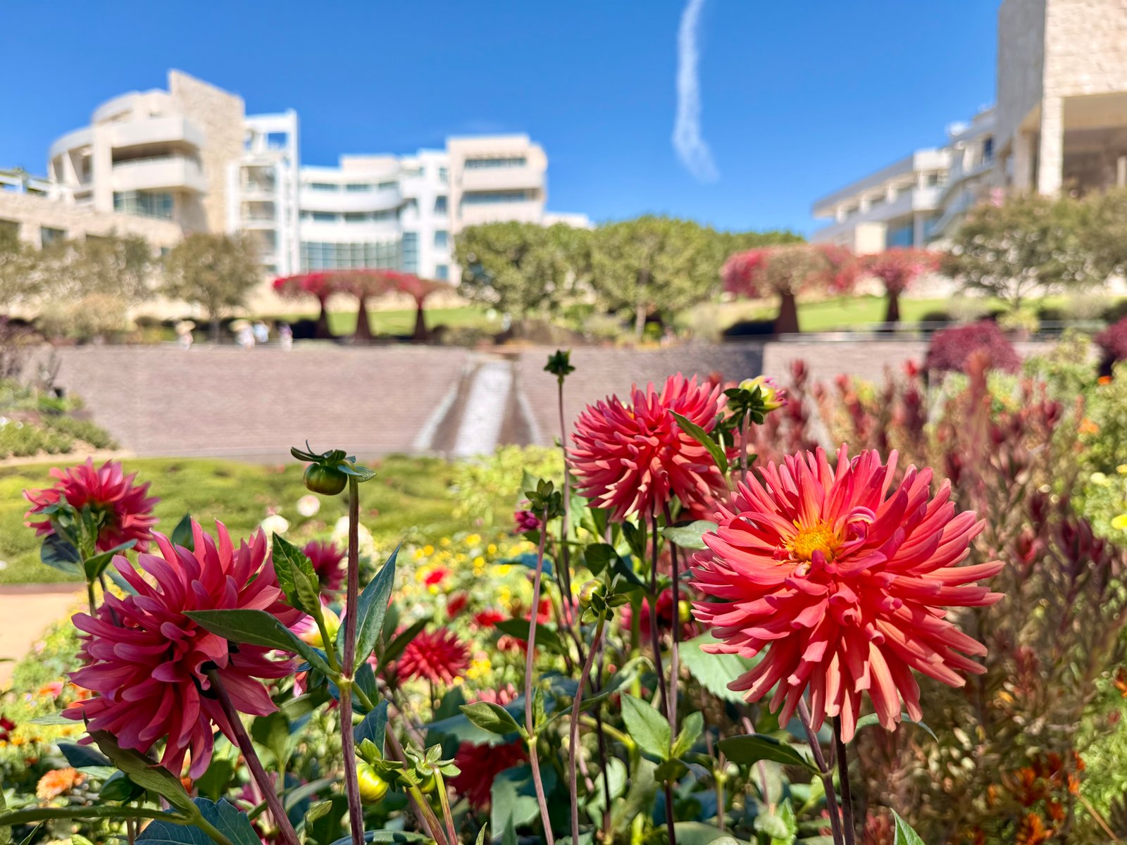 The J. Paul Getty Museum