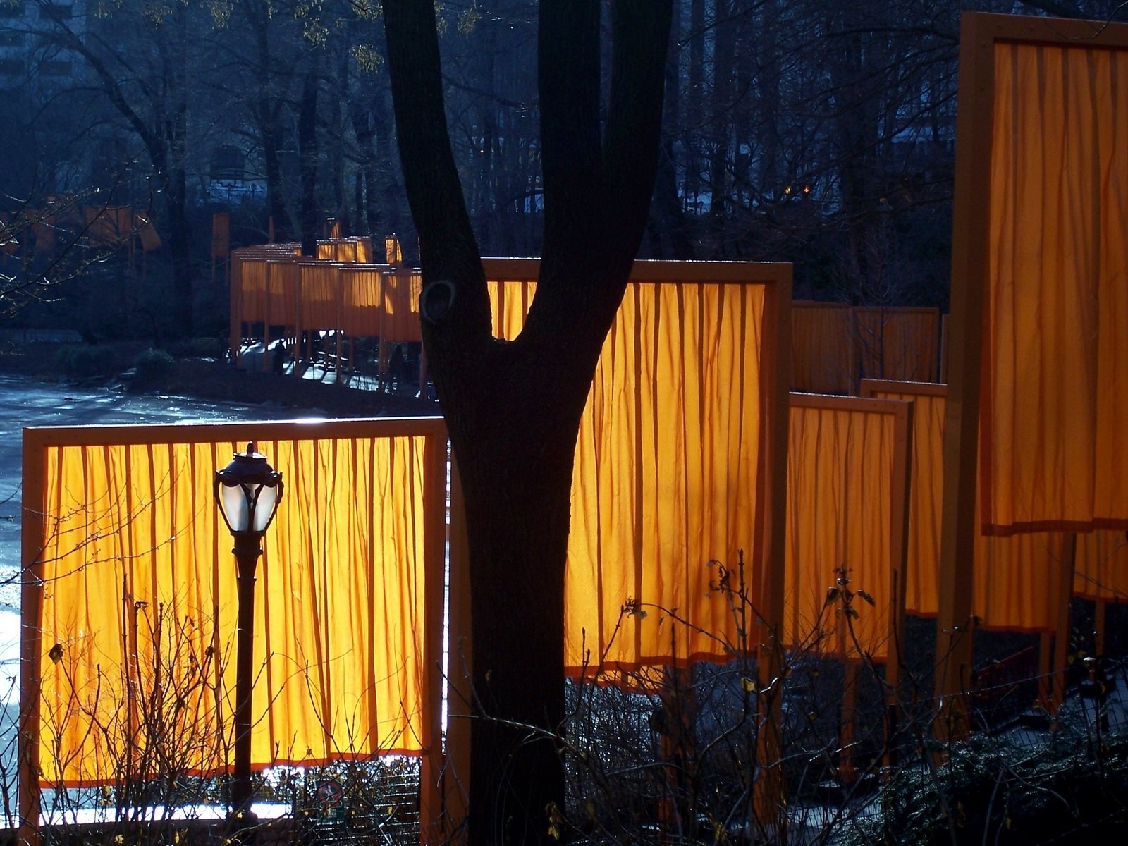 A Winter Day Walking Through The Gates in Central Park