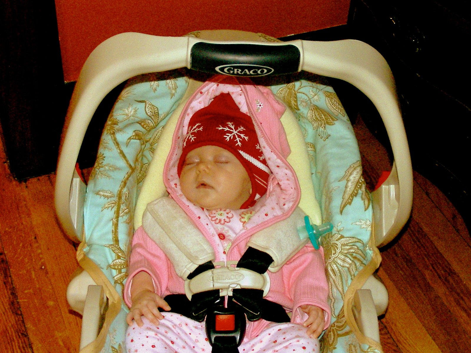 A New Year's Day Cookie Party for a Newborn