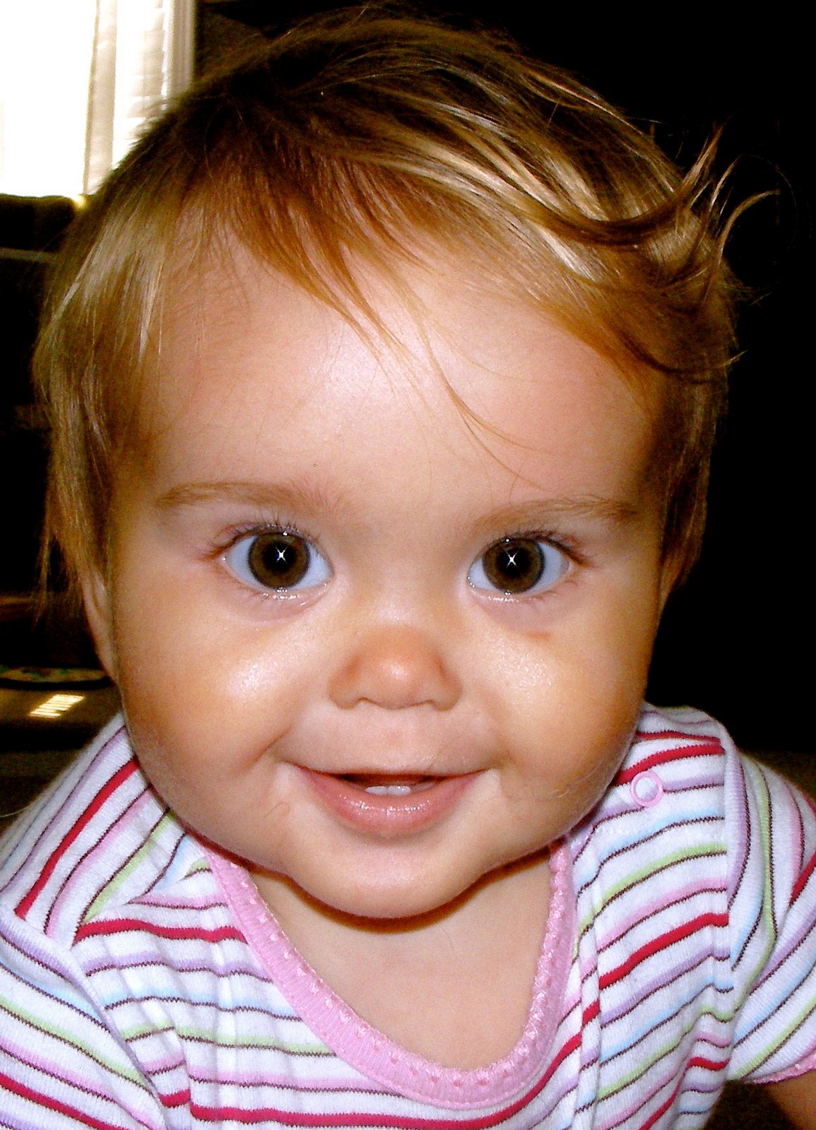 An Afternoon at Home, Late August 2007