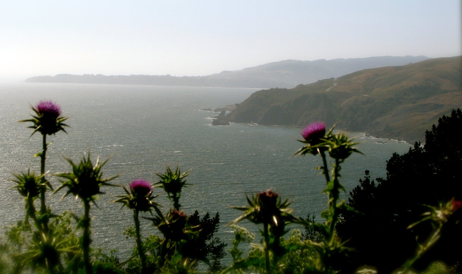 A Weekend Drive Along the Northern California Coast