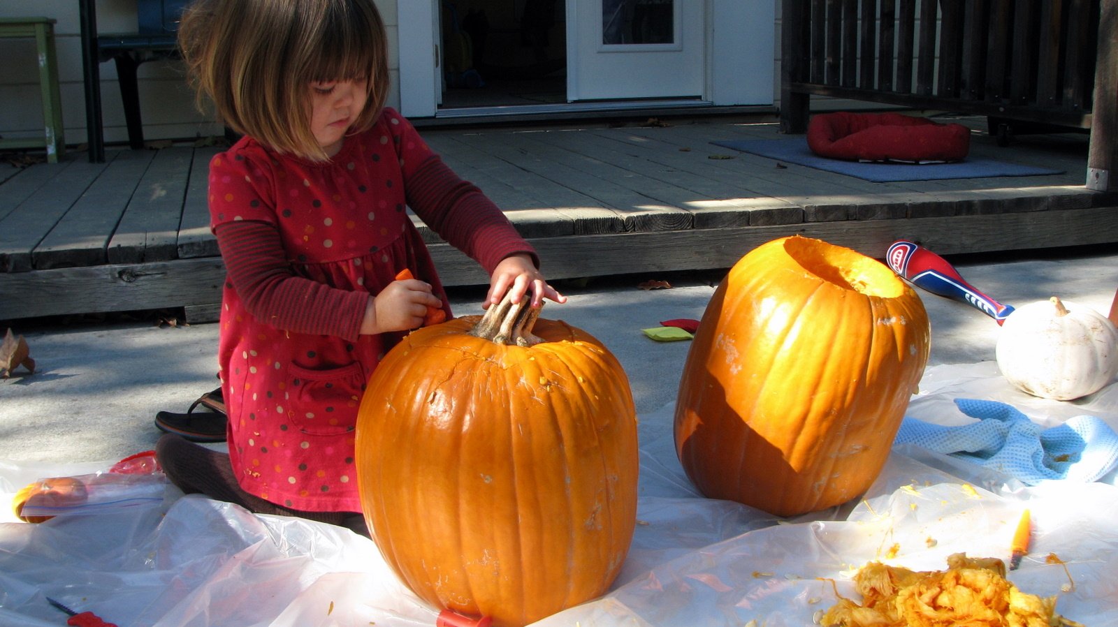 A Halloween Weekend of Pumpkins and Costumes, 2009