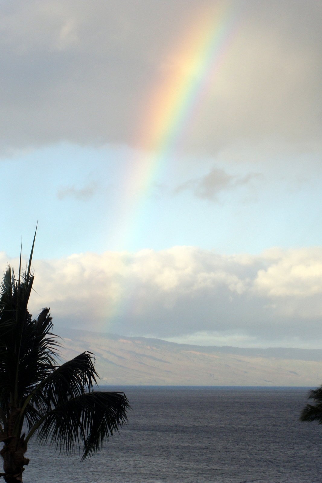 A Week of Passing Showers and Whale Sightings