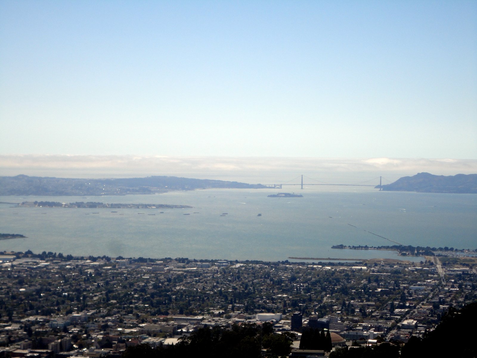 Hills, Redwoods, and Coast: A Mid-August Weekend