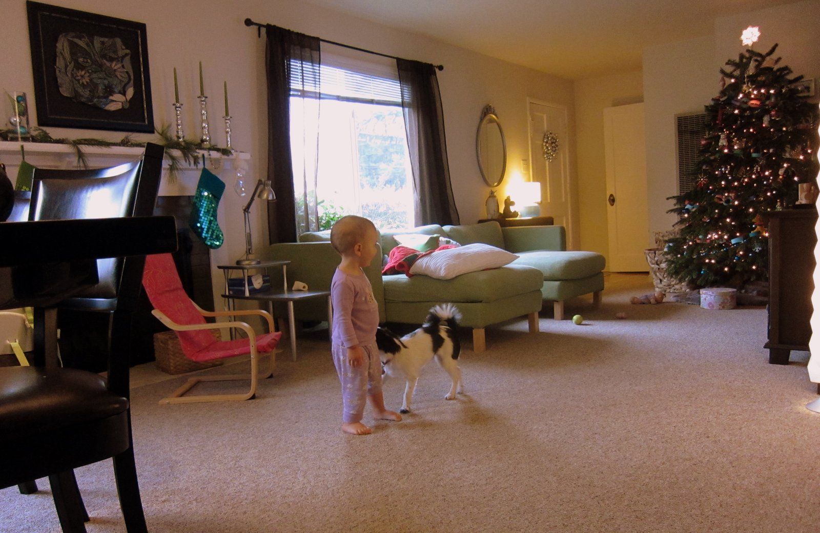 A December Afternoon at Home with the Dog