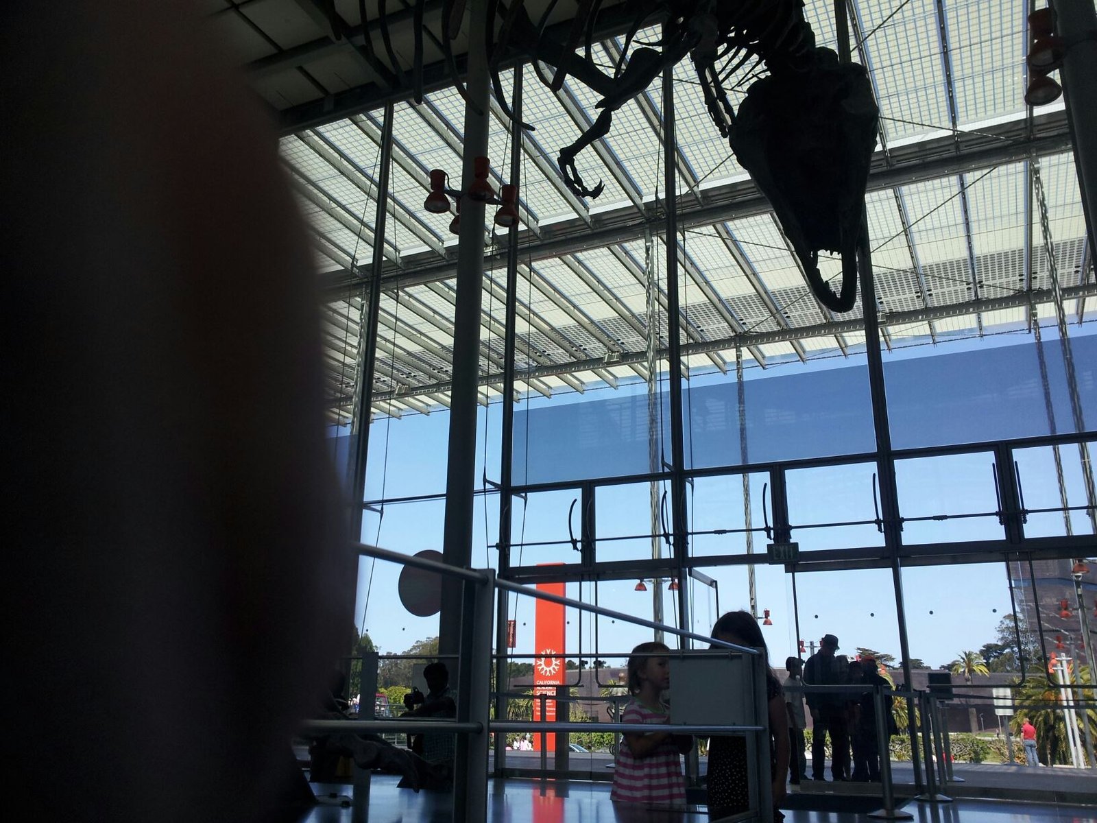 A Saturday at the Academy of Sciences