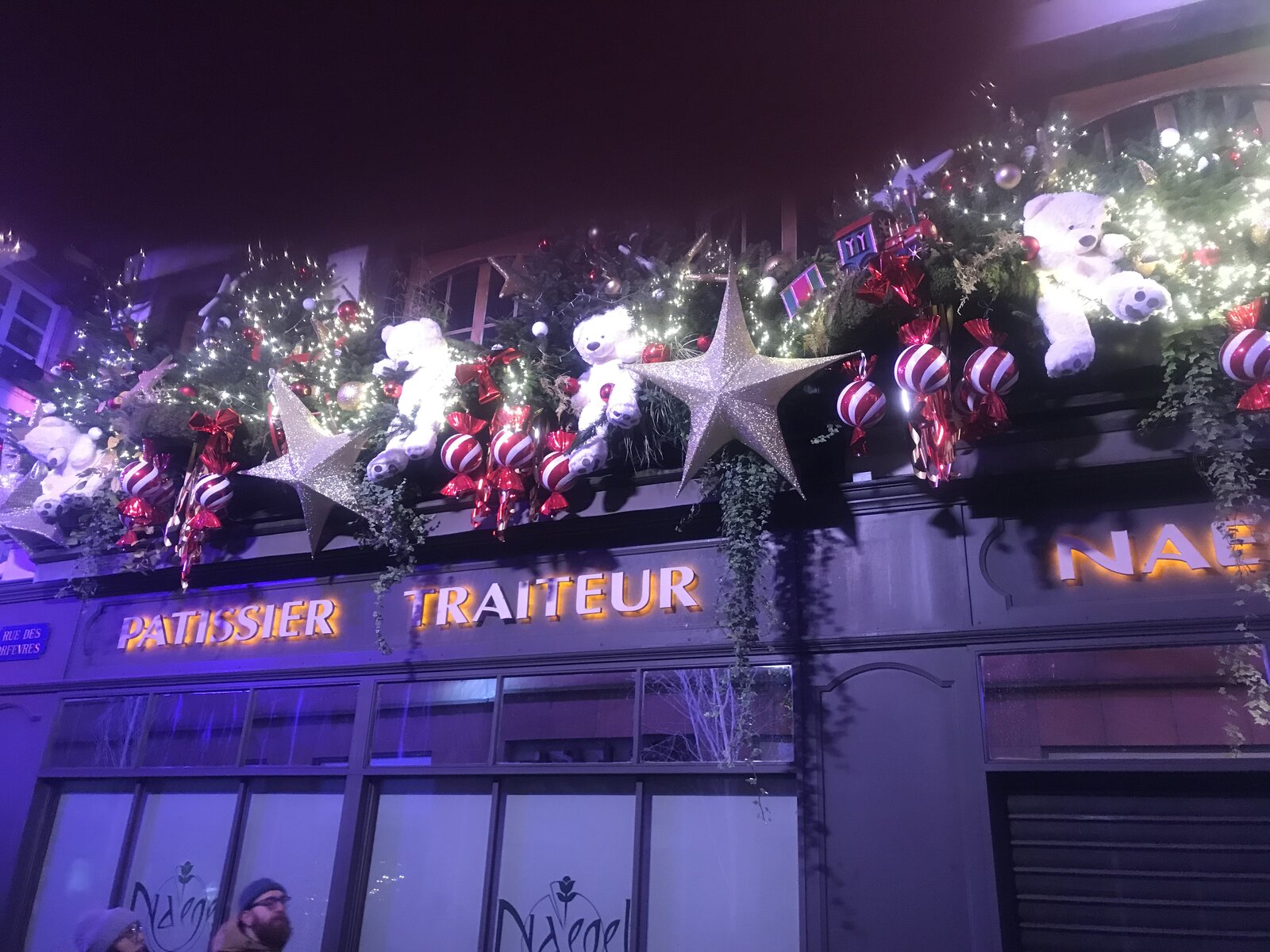 An Evening Walk Through the Holiday Lights