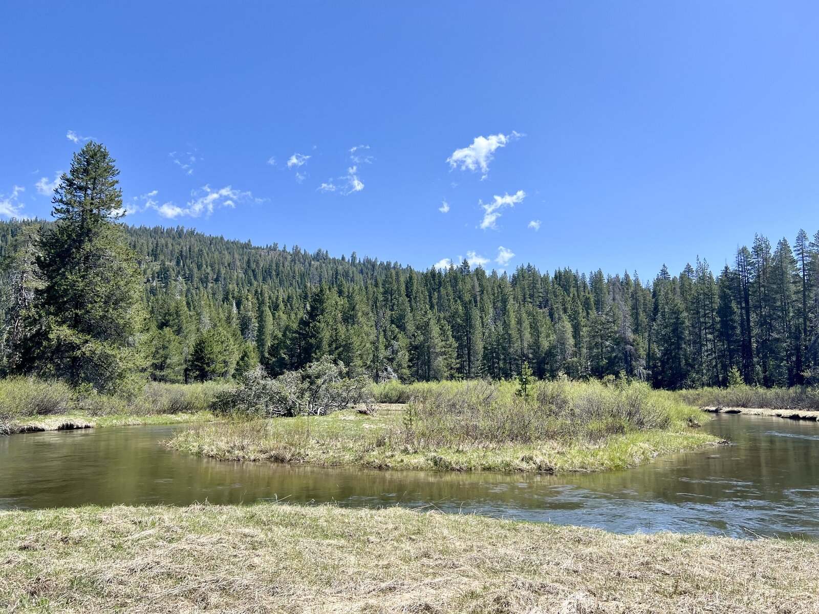 A Mid-May Hike Through a Classic Sierra Meadow