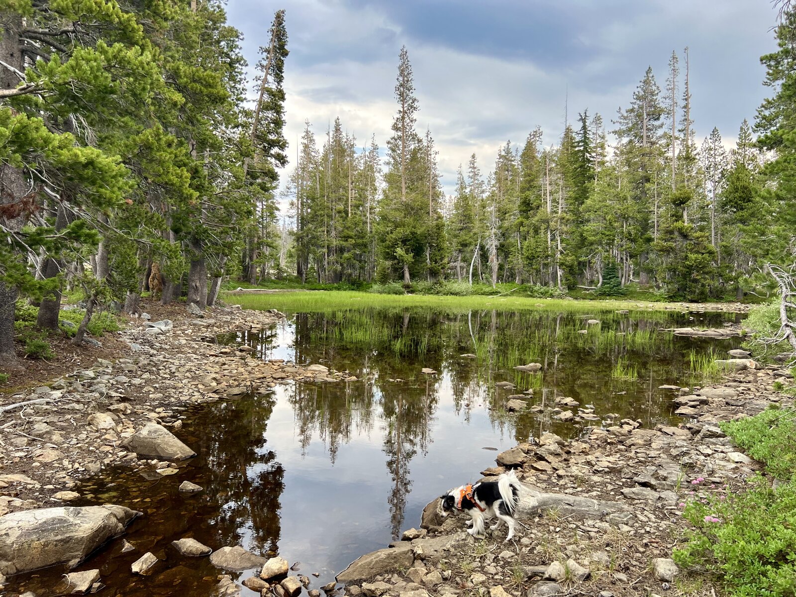 A Mid-July Hike Out on the Trail