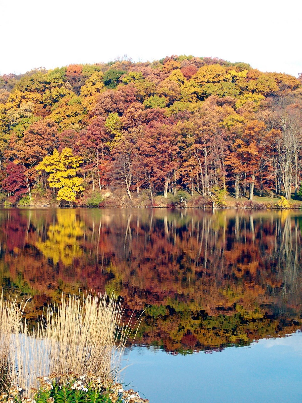 A Still November Day and Its Reflections