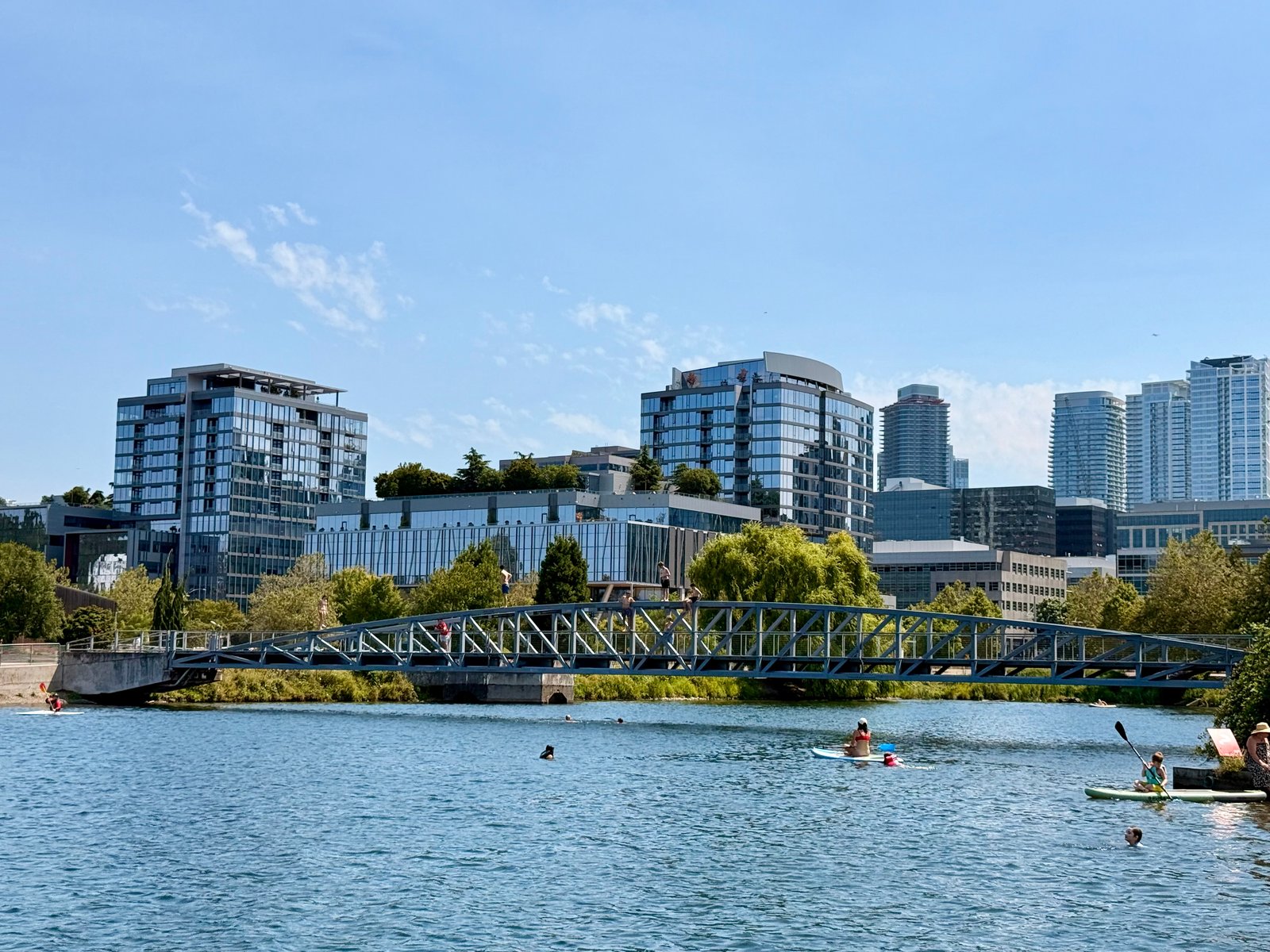 A river scene with people on paddleboards and swimming, a bridge, and a city skyline of modern buildings.